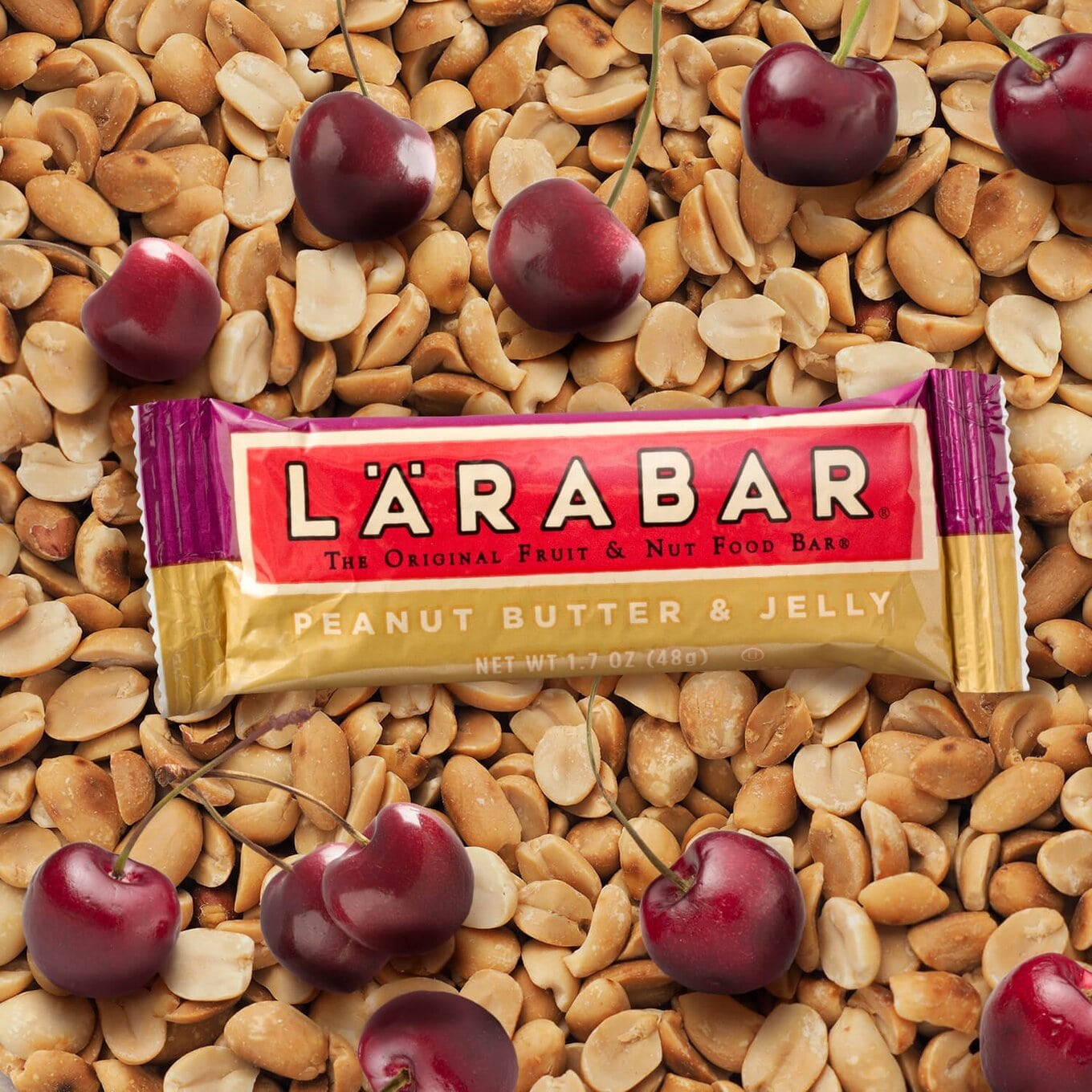 Larabar Peanut Butter and Jelly